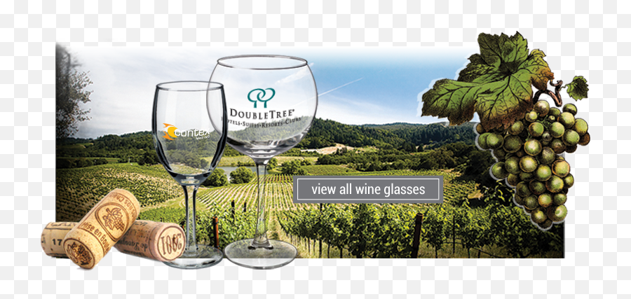 Salinaglass - Personalized Shot Glasses Custom Coffee Mugs Champagne Glass Emoji,Wine Glass Png