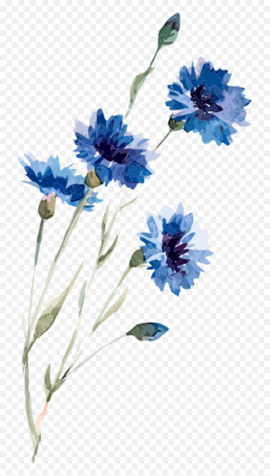 Ftestickers Watercolor Flowers Blue Sticker By Pennyann Emoji,Transparent Watercolor Flowers