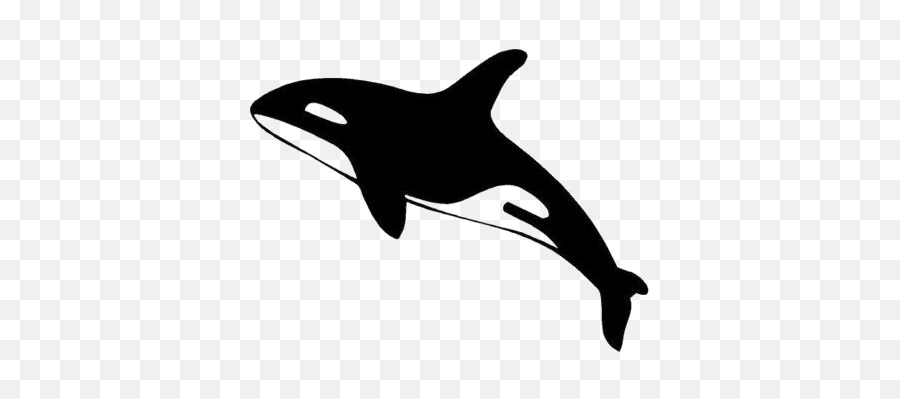 Killer Whale Transparent Images Png Svg Clip Arts Download Emoji,Orca Whale Clipart