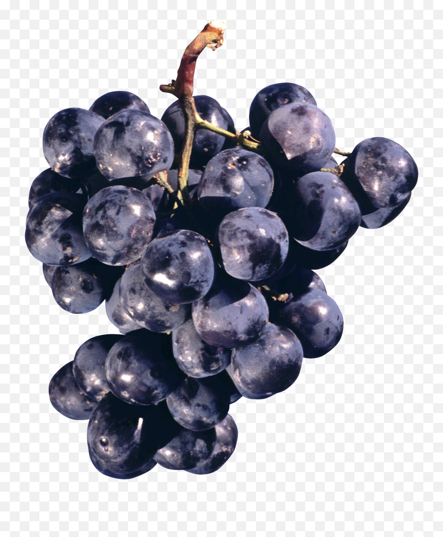 Concord Grape - Concord Grape Png Emoji,Grapes Png