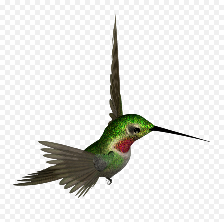 Download Hummingbird Png Hq Png Image - Hummingbird Clipart Emoji,Hummingbird Png