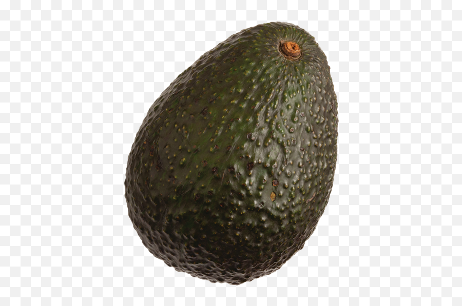 Hass Large Avocado - Avocados Hass Extra Large Emoji,Avocado Png