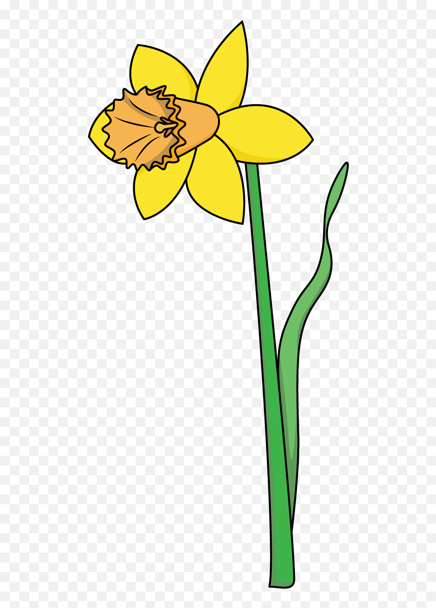 How To Draw A Daffodil Flowers Plants - Single Daffodil Drawing Easy Emoji,Daffodil Clipart