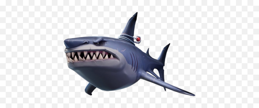 Loot Shark - Describe An Aquatic Animal Cue Card Emoji,Fortnite Bush Png