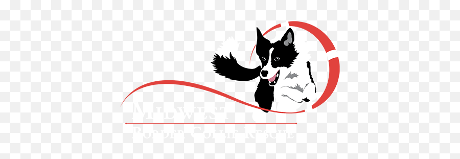 The Border Collie Midwest Border Collie Rescue - Border Collie Jump Logo Emoji,Logo Border