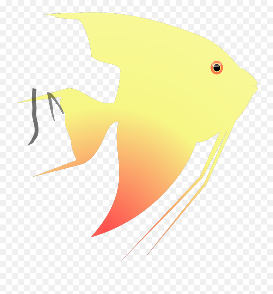 Angel Fish Svg Vector Angel Fish Clip Emoji,Angelfish Clipart