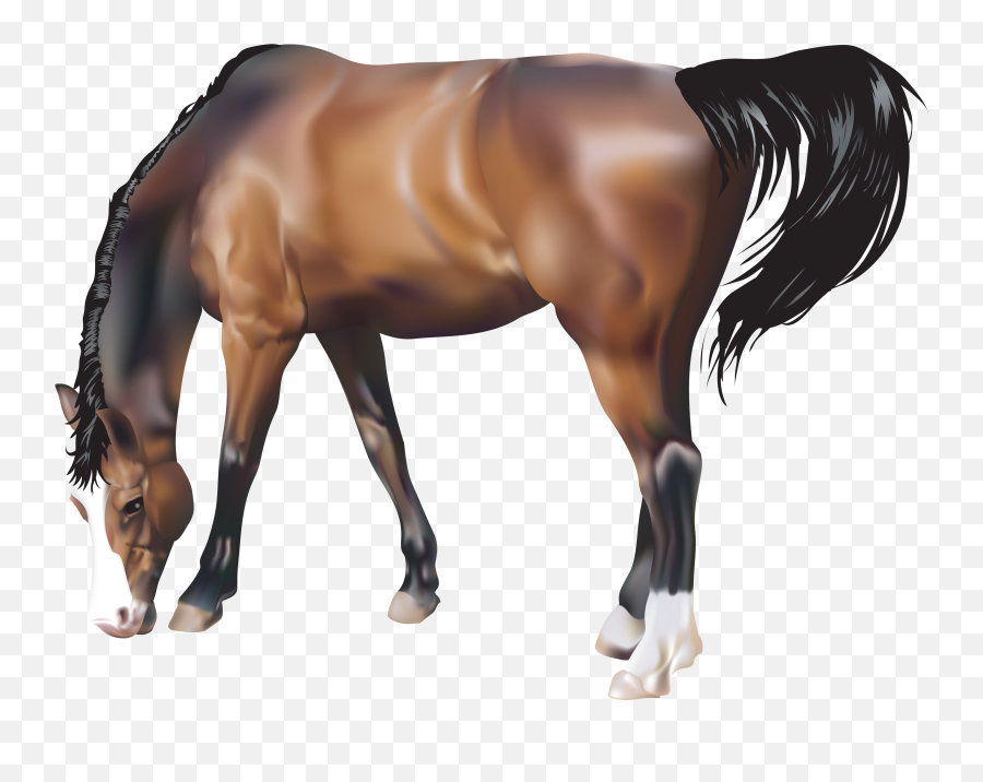 Horse Clipart Png - Brown Horse Png Emoji,Horse Clipart
