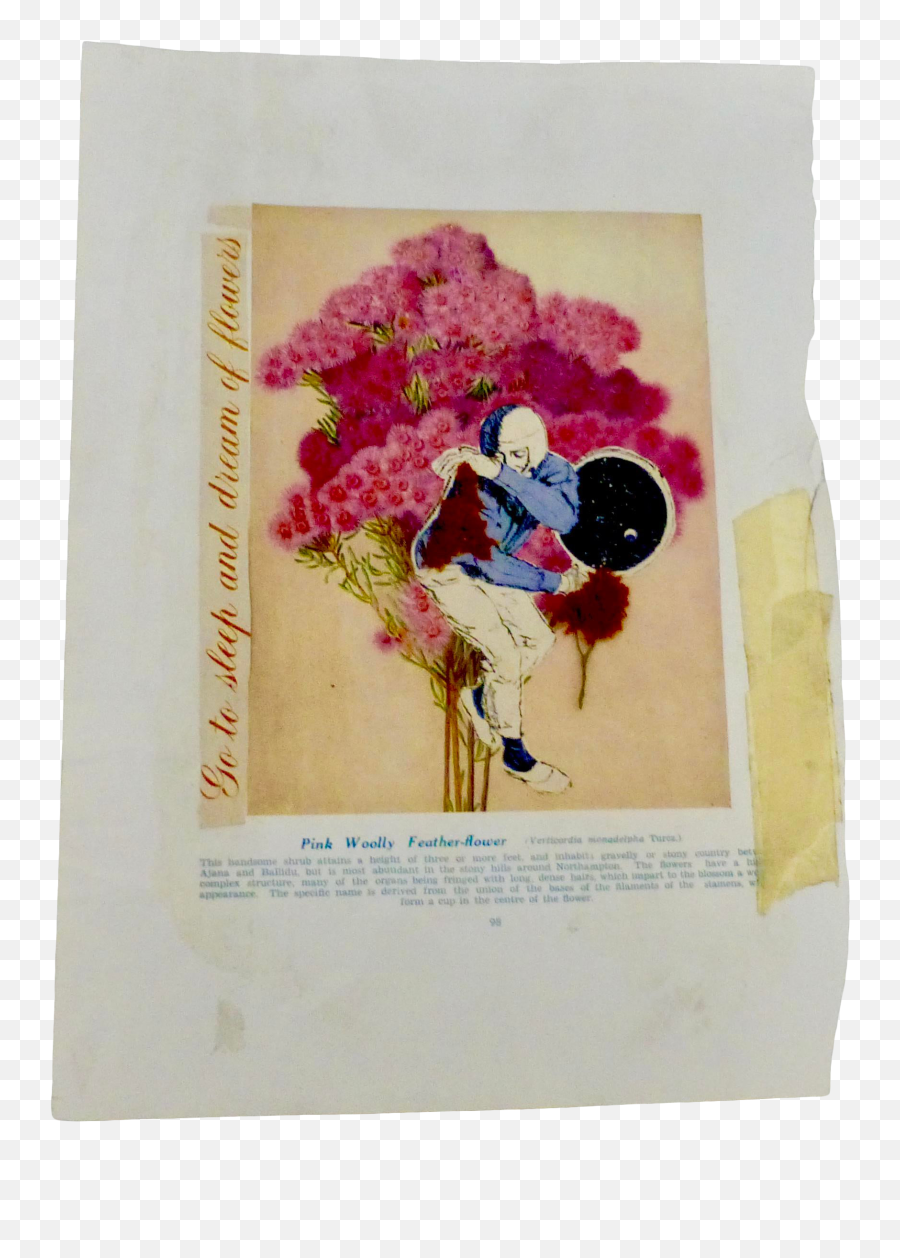 Go To Sleep And Dream Of Flowers Contemporary Torn Paper And Mixed - Media Collage Emoji,Torn Piece Of Paper Png