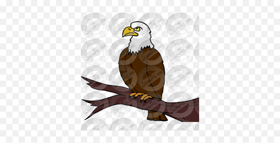 Eagle Picture For Classroom Therapy Use - Great Eagle Clipart Bald Eagle Emoji,Bald Eagle Clipart