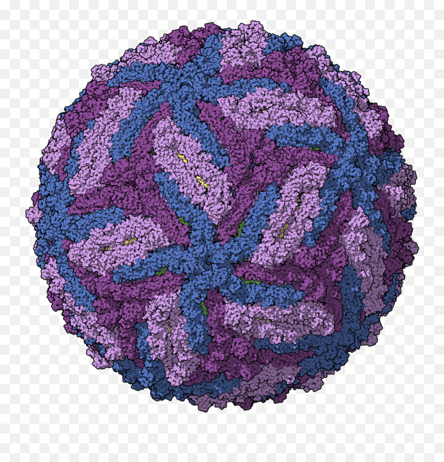 Zika - Zika Virus Png Emoji,Virus Png