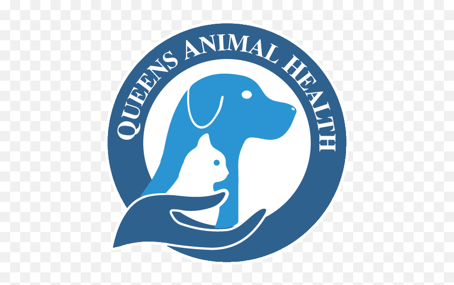 Springtime Safety Tips Courtesy Of Aspca Qah - Dr Animals Logo Emoji,Aspca Logo