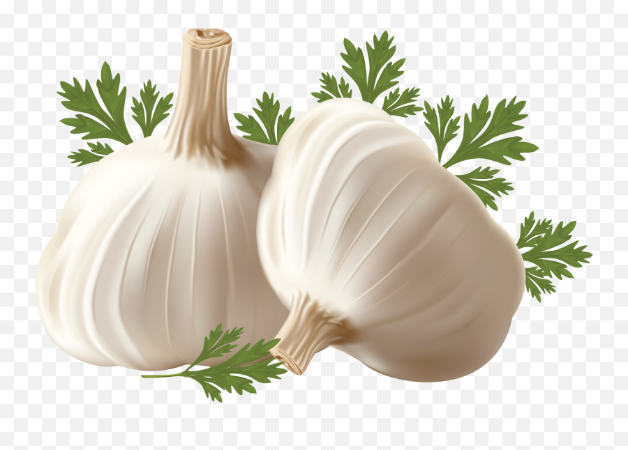 Garlic Png - Garlic Images Hd Png Emoji,Garlic Png