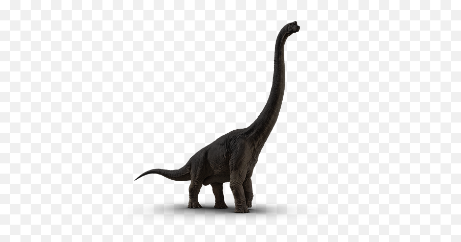Gallimimus Jurassic World - De Apatosaurus Jurassic World Emoji,Jurassic Park Logo Black And White
