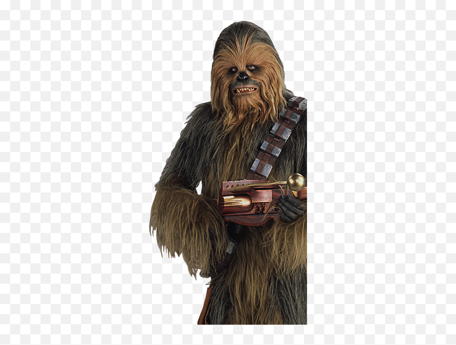 About The Ccmg Awards - Chewbacca Han Solo Png Full Size Emoji,Han Solo Png