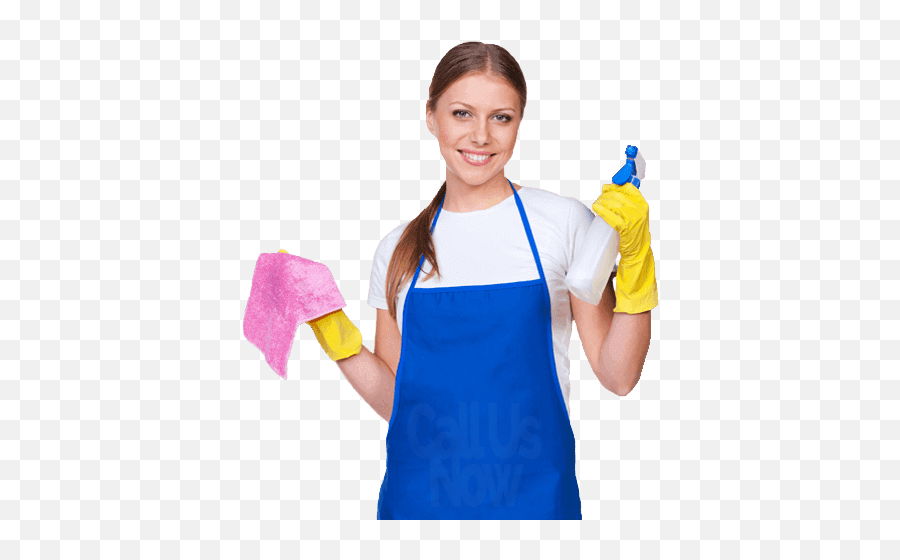 Professional Home Cleaning Services Smyrna Ga Licensed Emoji,Cleaning Lady Png