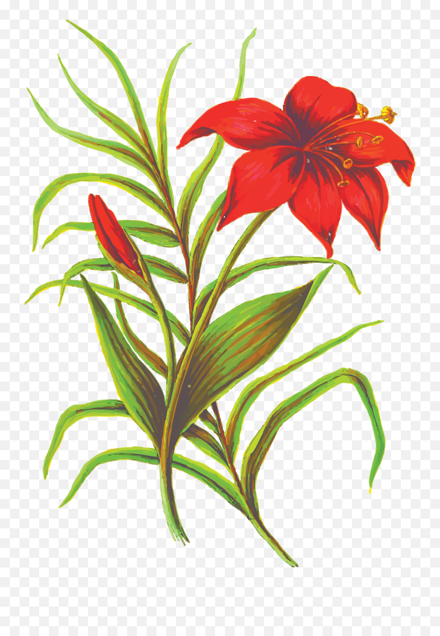 Lily Clipart Resurrection - Red Flower Design Large Tote Bag Flower Leaf Emoji,Easter Lily Clipart