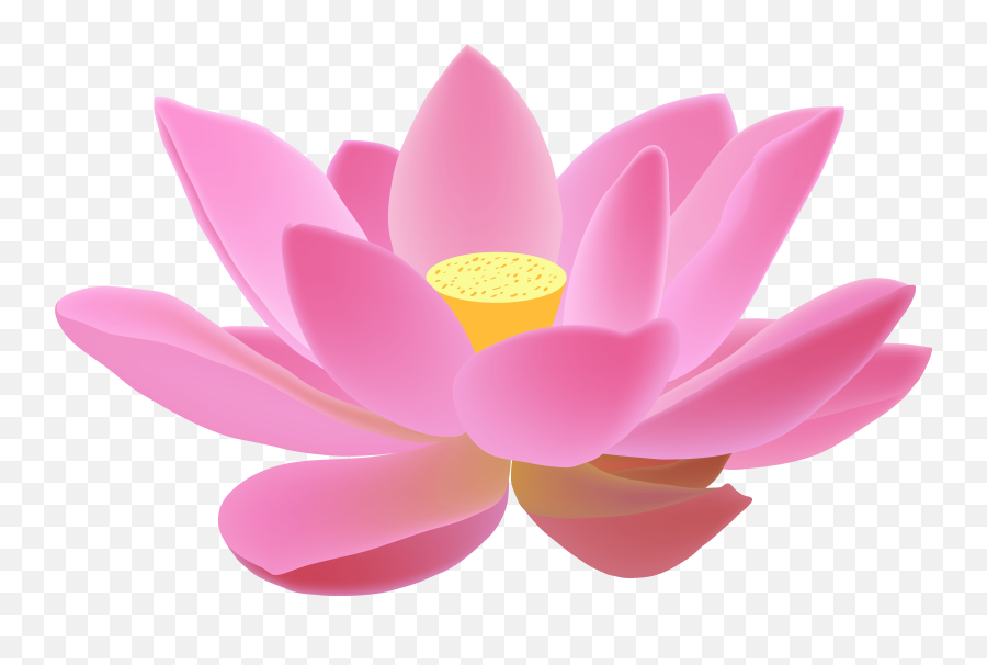 Lotus Flower Png - Lotus Png Emoji,Lotus Flower Png