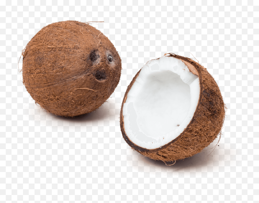 Coconut Products - Cracked Open Coconut Emoji,Coconut Png