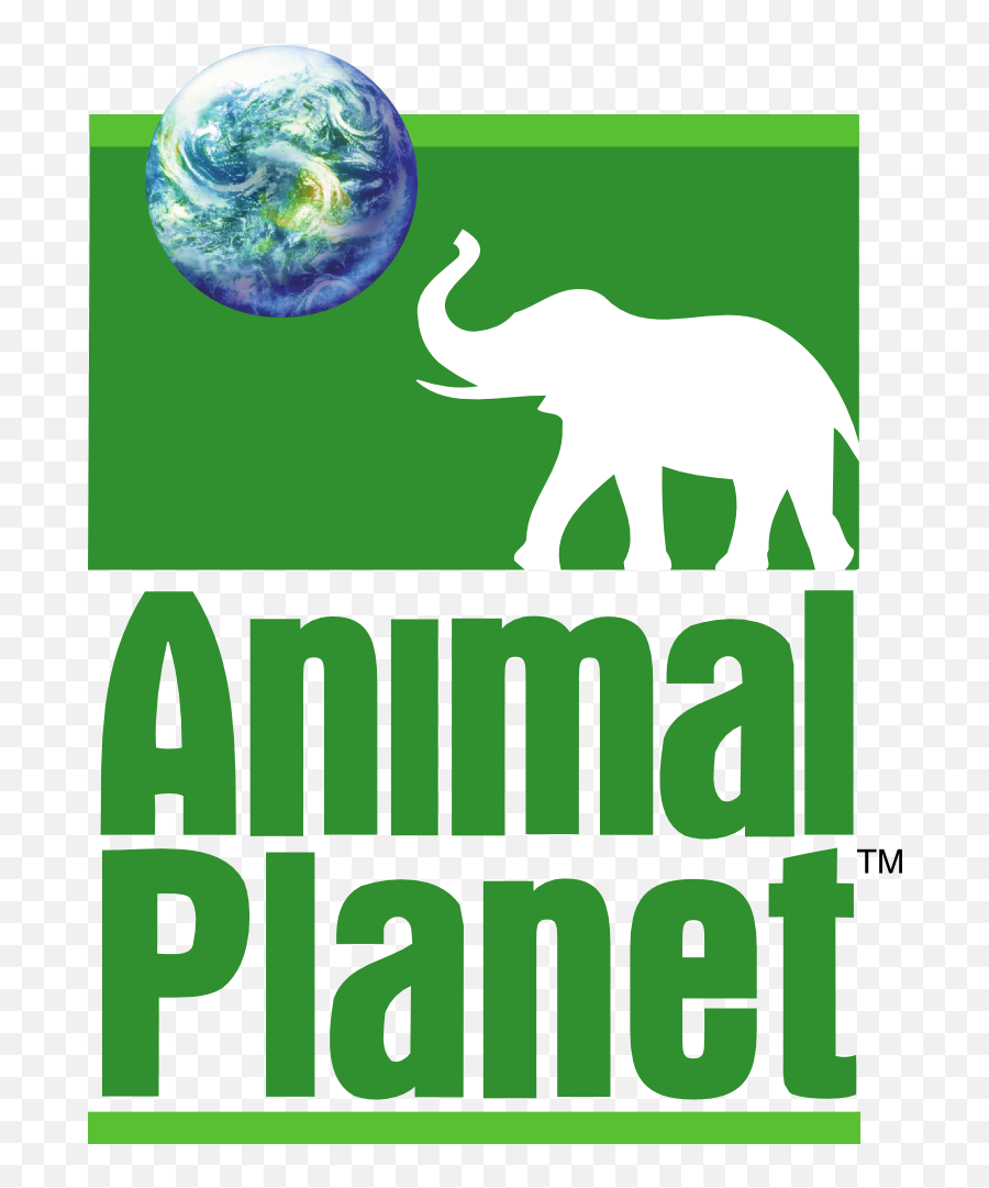 Animal Planet - Balaji Dosai Emoji,Discovery Channel Logo