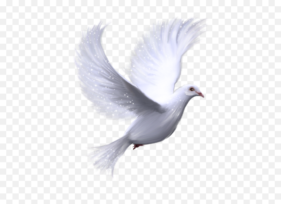Pin On Deseos De Pasion - Dove Transparent Background Emoji,Pigeon Clipart