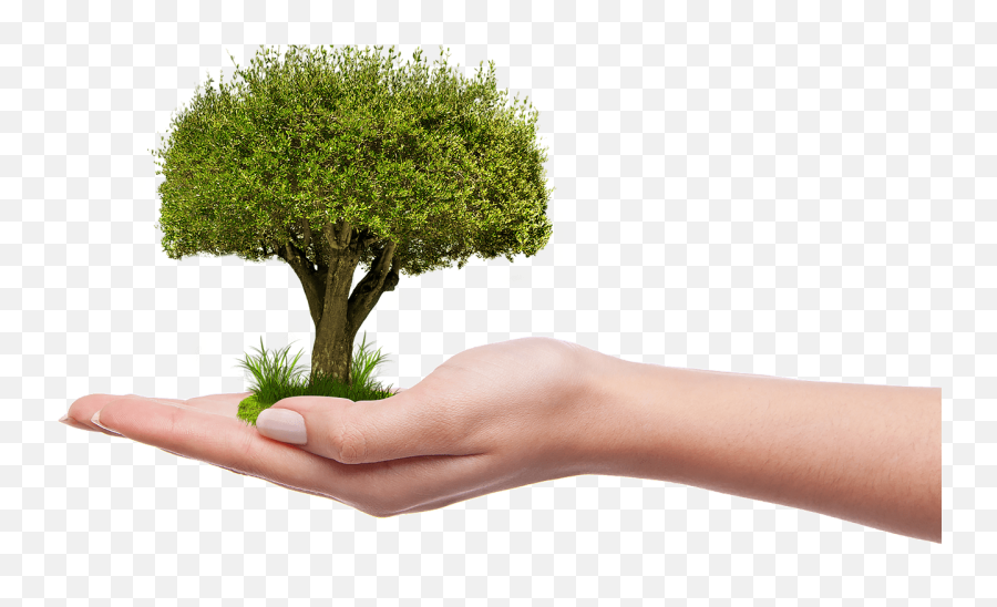 Tree - Save Mother Earth Png Emoji,Hand Png