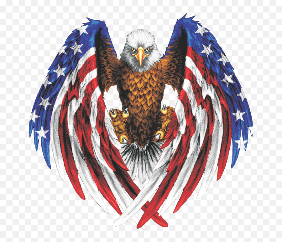 About U2014 Eagle Sportz - American Flag Eagle Emoji,Eagle Logo