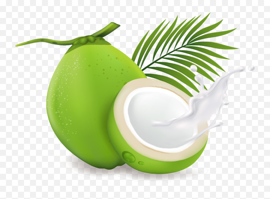Coconut Drink - Drink Sweet Coconut Water Emoji,Coconut Drink Png
