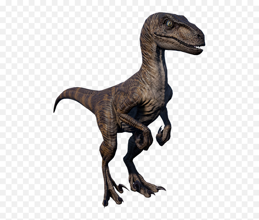 Velociraptor - Jurassic World Evolution Velociraptor 1993 Emoji,Raptor Png