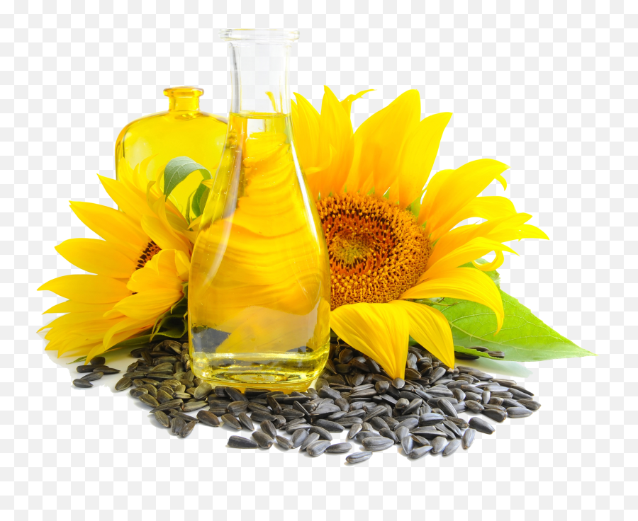 Sunflower Seed And Oil Png Photo - Sunflower Seed Png Hd Emoji,Oil Png