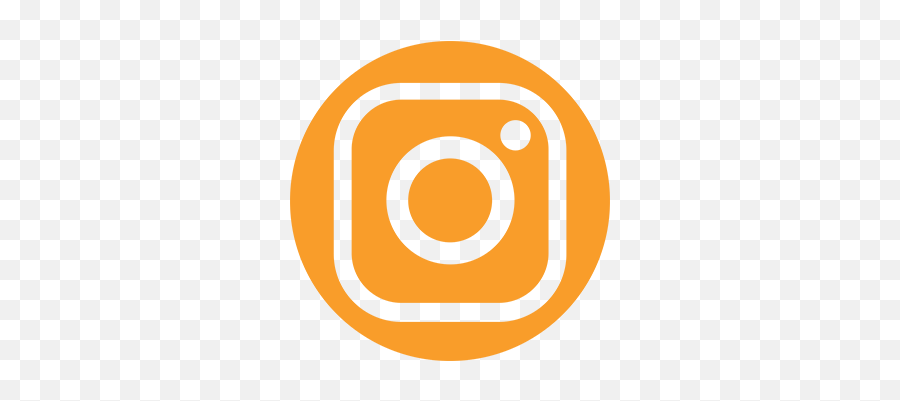 Summary - Adult Reconstruction Fellows Course Emoji,Orange Instagram Logo