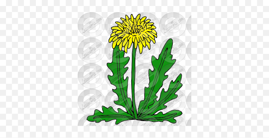Dandelion Picture For Classroom - Sunflowers Emoji,Dandelion Clipart