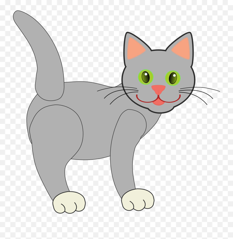Download Hd Feline Clipart Cat Face - Grey Cat Shower Gray Cat Clipart Emoji,Cats Clipart