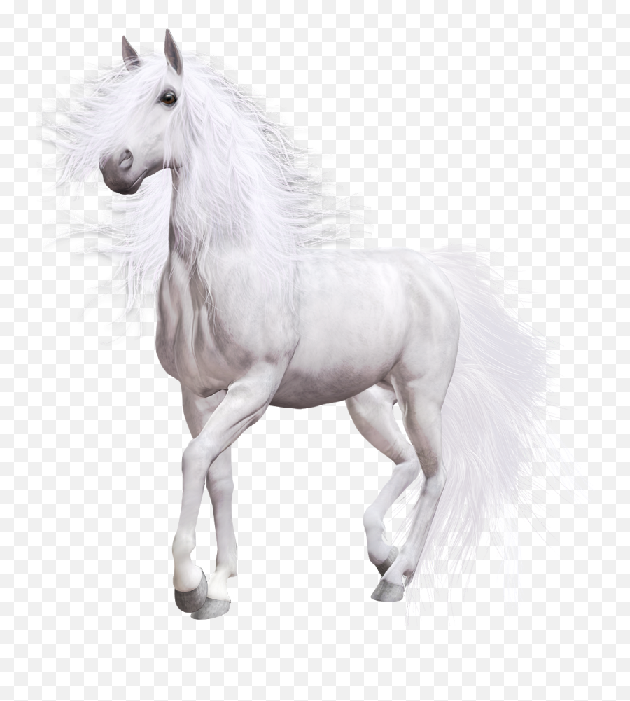 White Horse Png Clip Art - Silhouette Horse Head Clip Art Pura Sangre Caballos Blancos Emoji,Horse Head Clipart