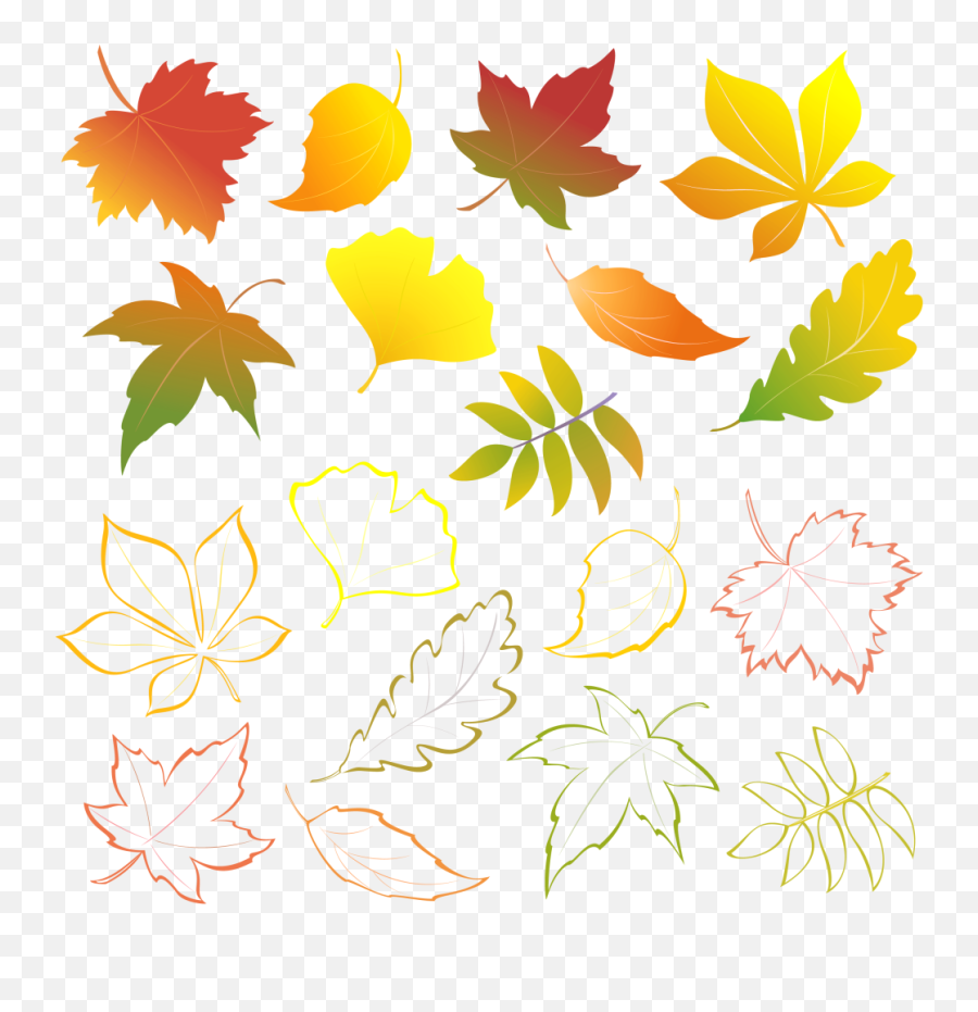 Fall Clipart Autumn Flower - Leaves Transparent Cartoon Vector Autumn Leaves Illustration Emoji,Fall Clipart Images