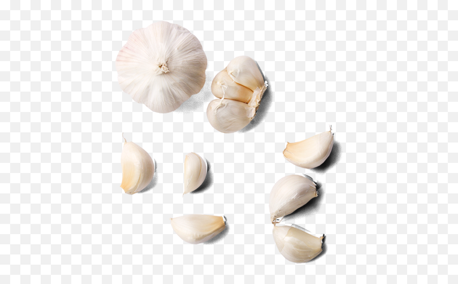 Garlic Transparent Image - Garlic From Top Png Emoji,Garlic Png