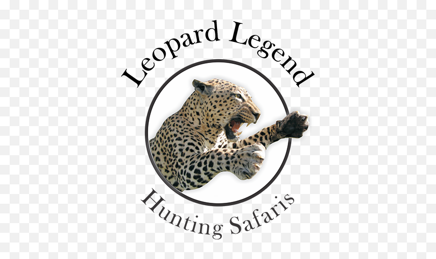 Leopard Legend Hunting Safaris - Leopard Legend Hunting Safaris Emoji,Cute Safari Logo