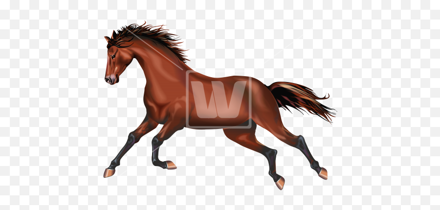 Galloping Wild Mustang Emoji,Mustang Horse Png