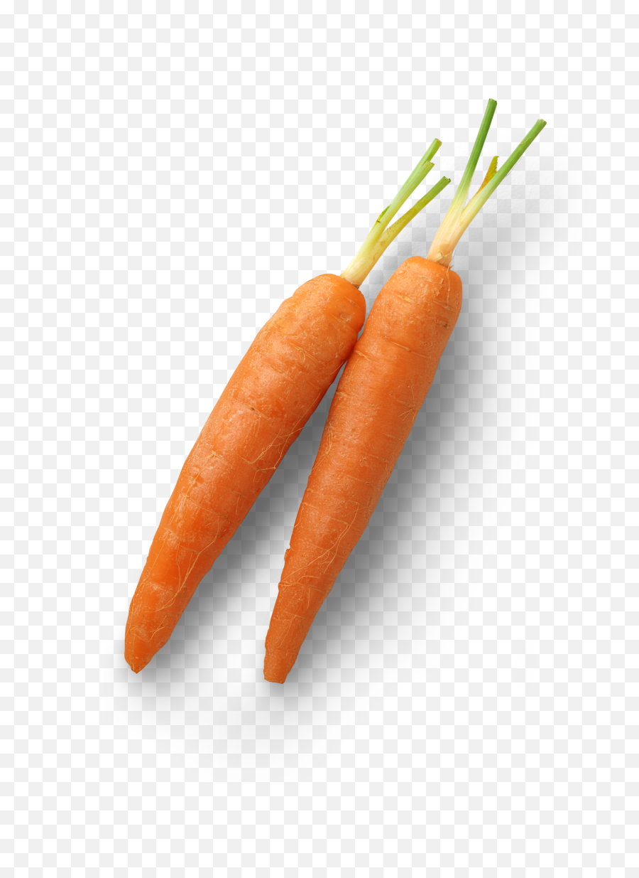 Mini Carrots A Splash Of Vibrancy U2013 Eat Me Emoji,Carrot Transparent