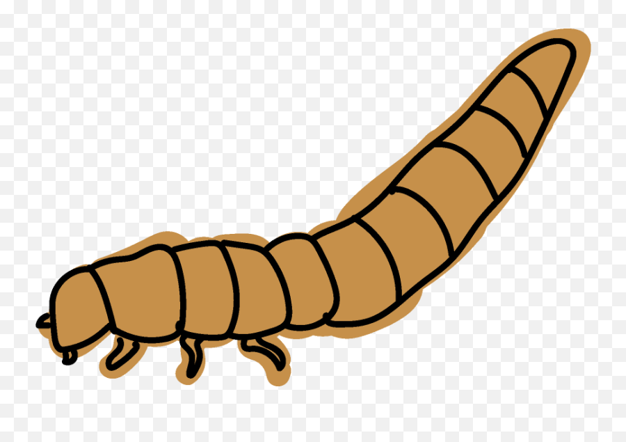 Celtic Ukulele Design For Kevin Carroll - Maguey Worm Mealworm Clipart Emoji,Worm Clipart