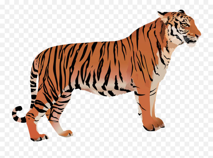 Bengal Cat Bengal Tiger White Tiger Clip Art - Tiger Png Clipart Tiger Transparent Background Emoji,Tiger Clipart Black And White