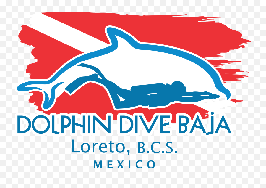 Download Hd Dolphin Clipart Diving Dolphin - Diver Dolphin Dolphin Dive Loreto Emoji,Dolphin Clipart