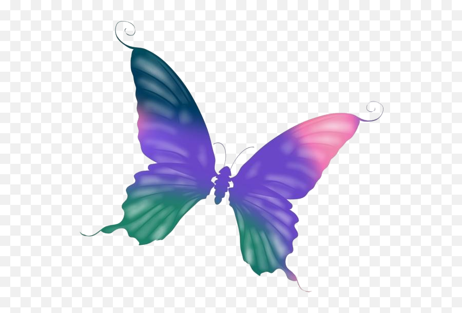 Beautiful Butterfly Png Free Clipart Pngimagespics - Girly Emoji,Free Butterfly Clipart