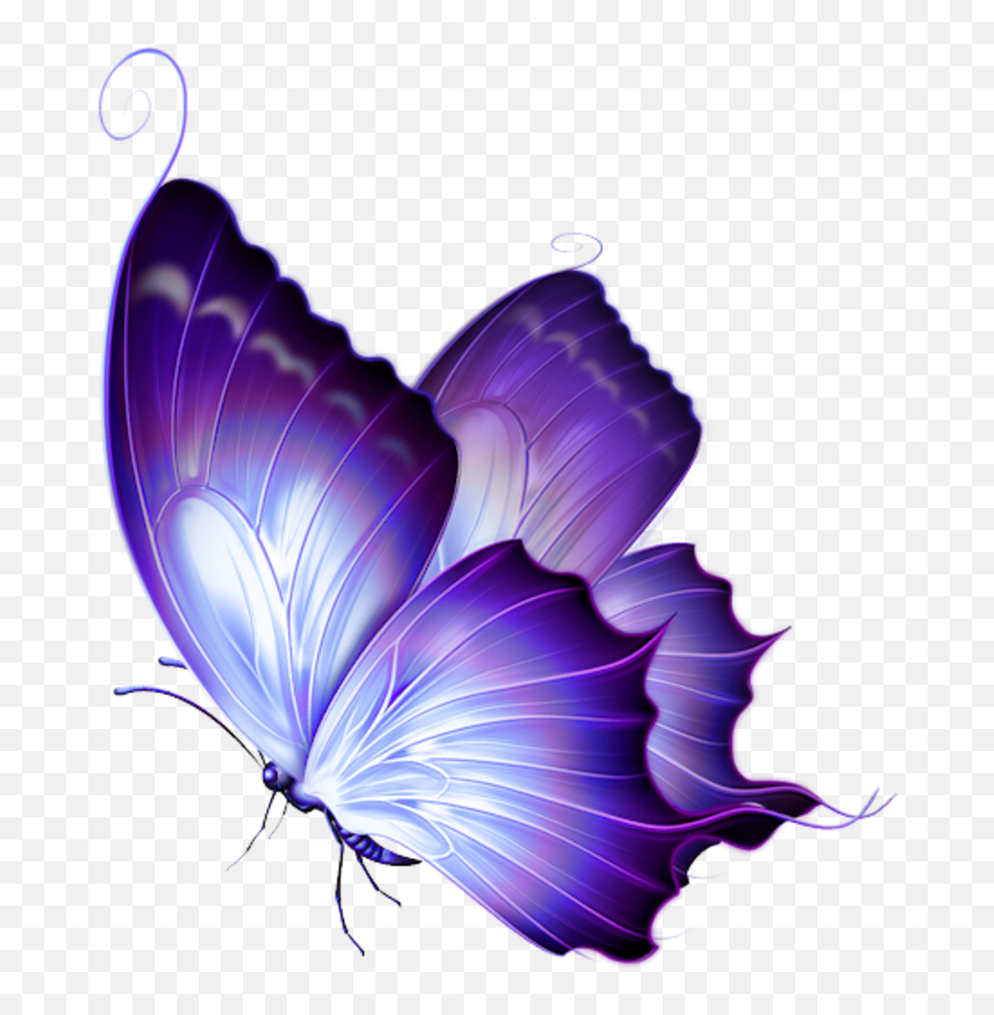 Tubes Papillons - Page 2 Carolineblue Purple Butterfly Colorful Butterfly Emoji,Butterfly Outline Clipart