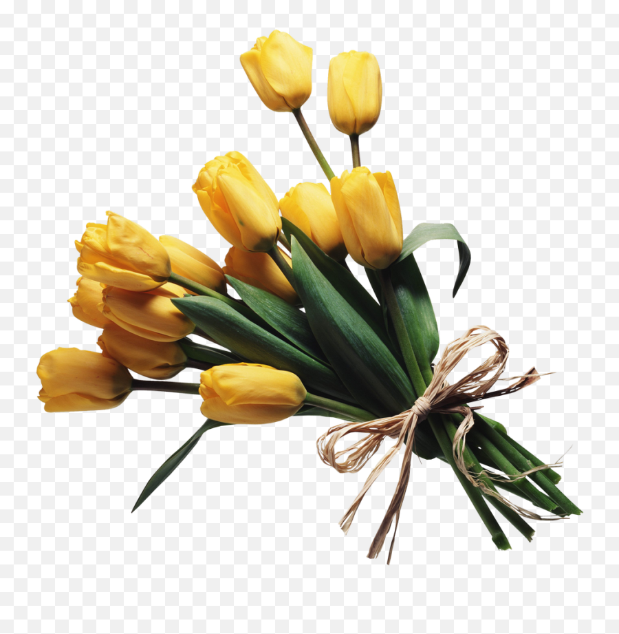 Bouquet Of Flowers Png Image Clipart - Full Size Clipart Aesthetic Bouquet Of Flowers Png Emoji,Bouquet Png