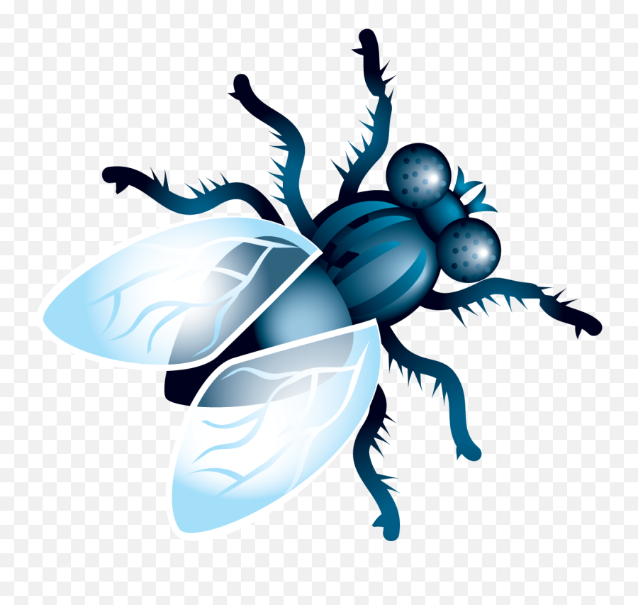 Fly Clipart Png Transparent Cartoon Emoji,Fly Clipart