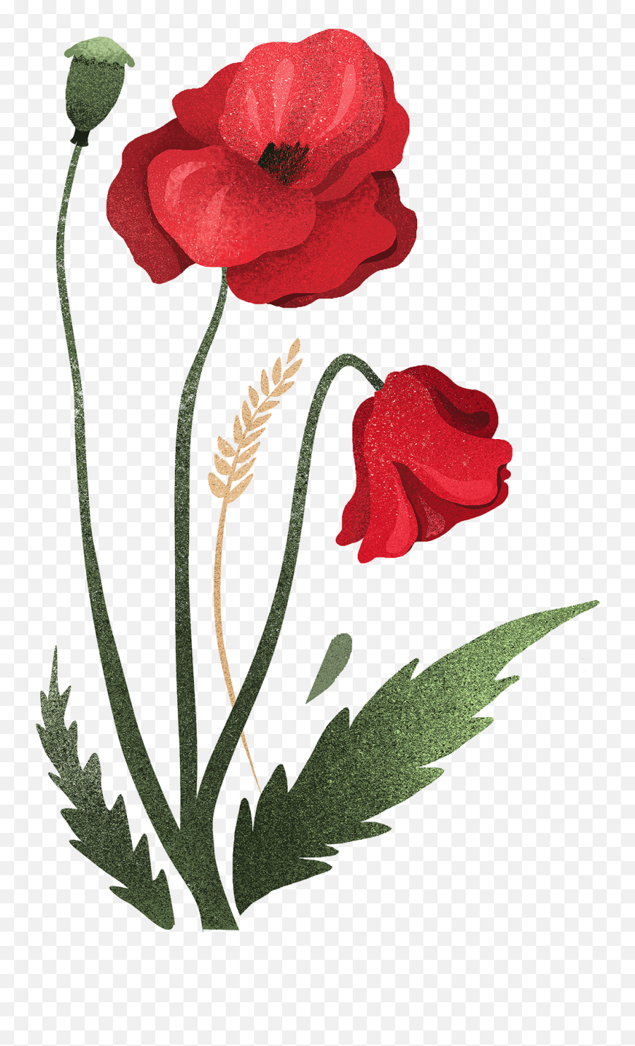 Download Hd Save To Collection - Corn Poppy Transparent Png Emoji,Poppy Png