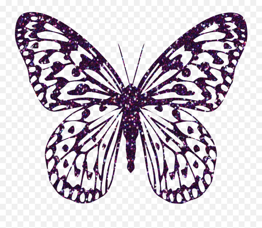 Download Hd Butterfly Clipart Zebra - Butterfly Png Clipart Emoji,Butterfly Clipart Transparent
