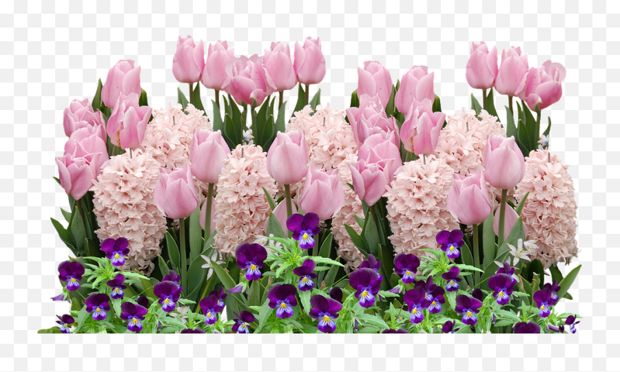 Download Spring Tulips Easter Flower Flowers Spring Emoji,Spring Flowers Transparent Background