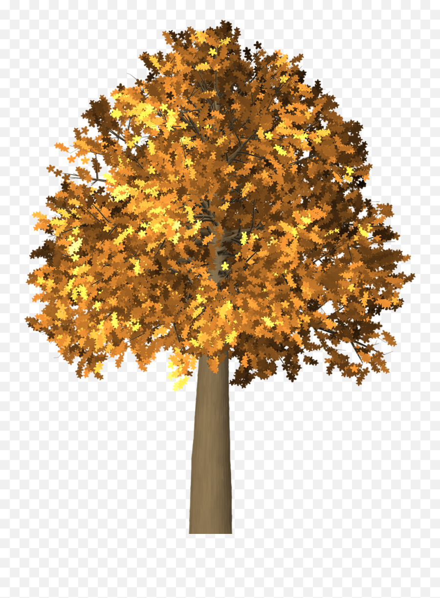 Tree Leaves Autumn - Autumn Emoji,Fall Tree Clipart