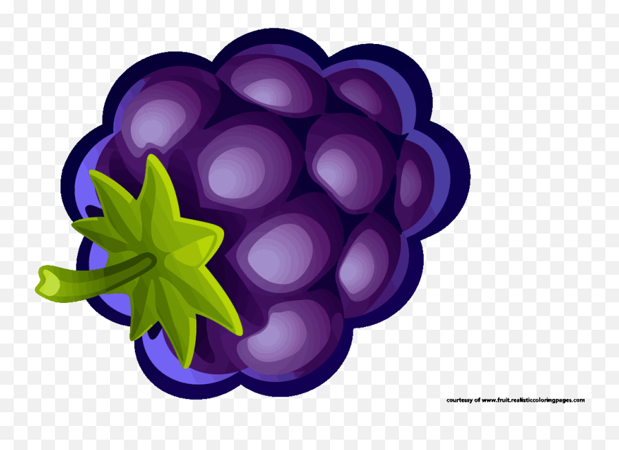 Blueberry Clipart Single Picture 282772 Blueberry Clipart - Diamond Emoji,Blueberry Clipart